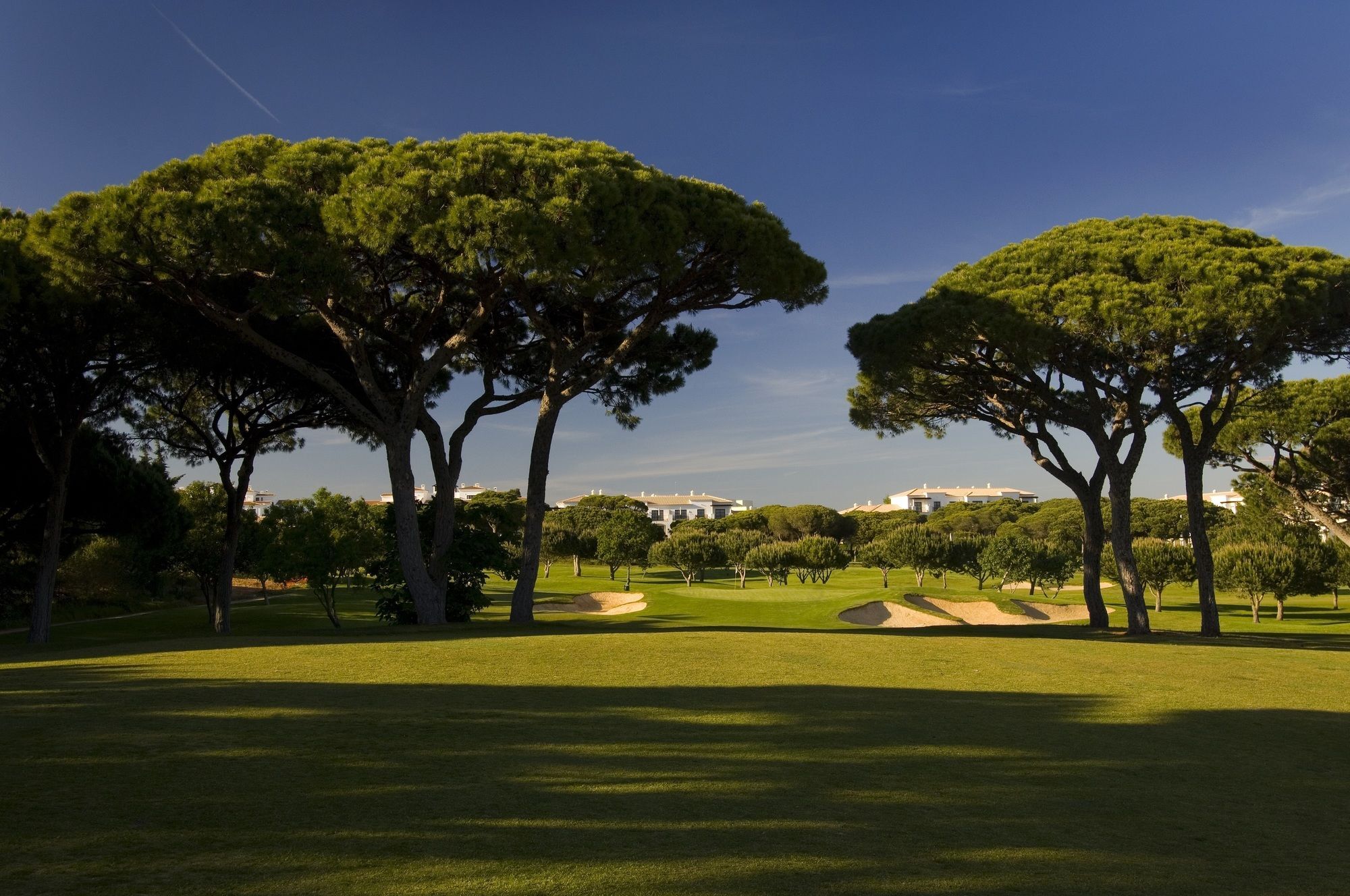 Hotel Pine Cliffs Gardens Albufeira Zewnętrze zdjęcie